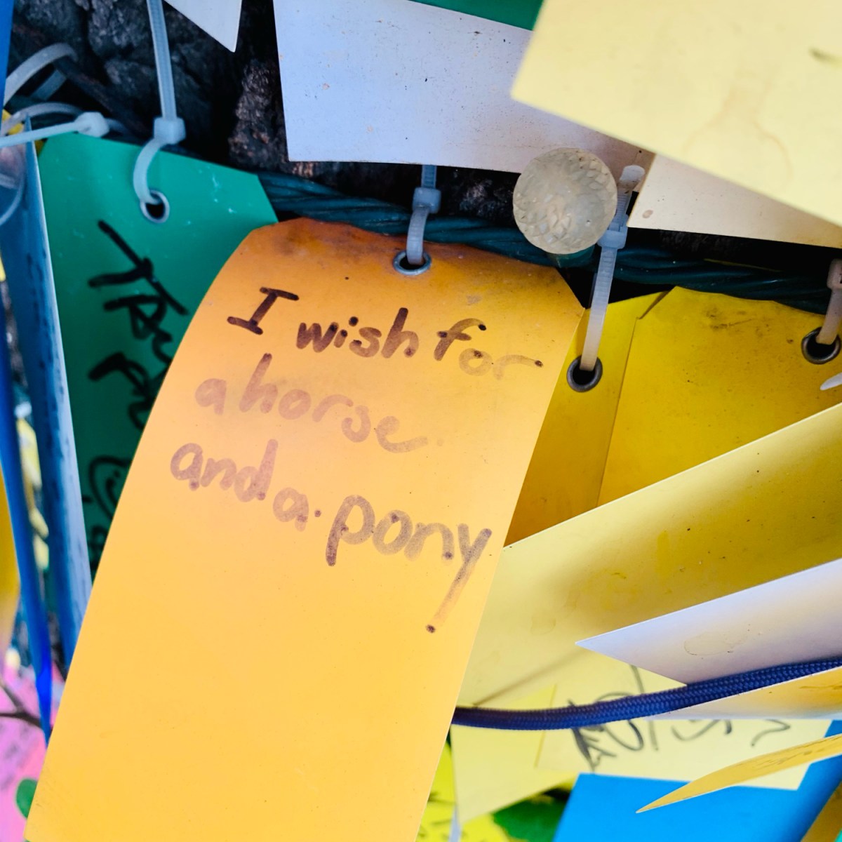 For Our Favorite&nbsp;Pinch-Sitter,