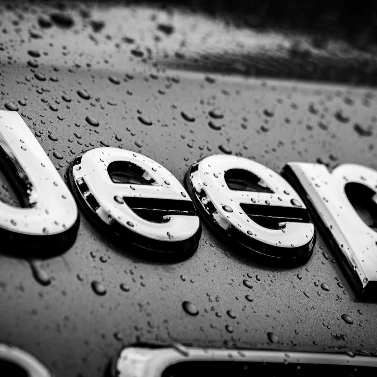 I Suspect the Jeep Community Is&nbsp;Responsible.